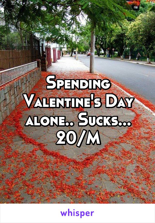 Spending Valentine's Day alone.. Sucks...
20/M