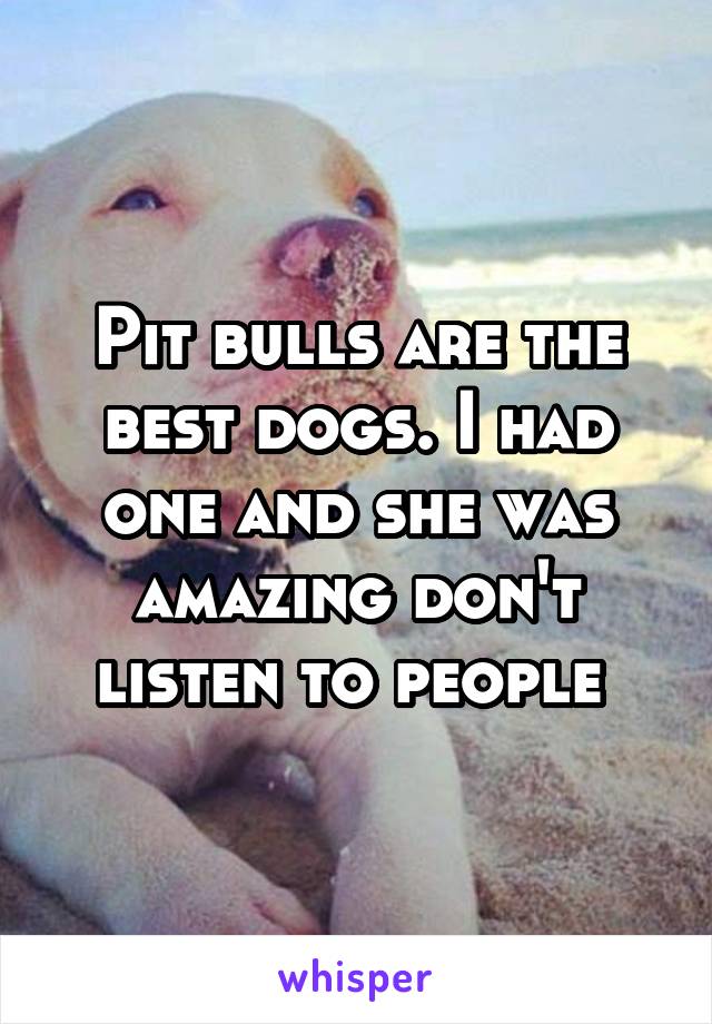 Pit bulls are the best dogs. I had one and she was amazing don't listen to people 