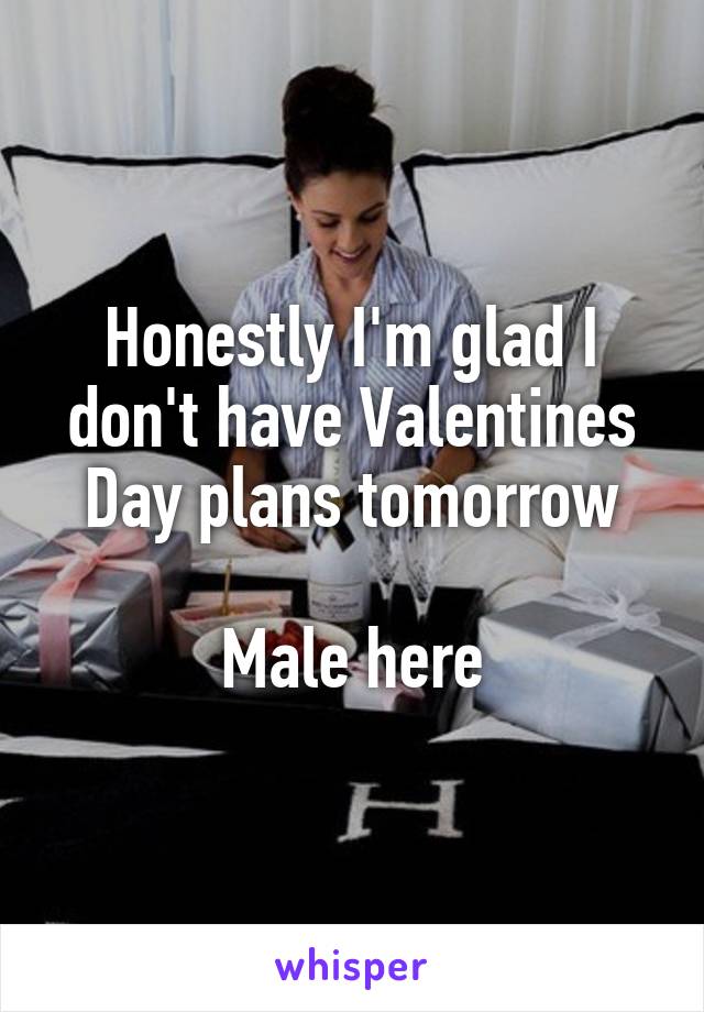 Honestly I'm glad I don't have Valentines Day plans tomorrow

Male here