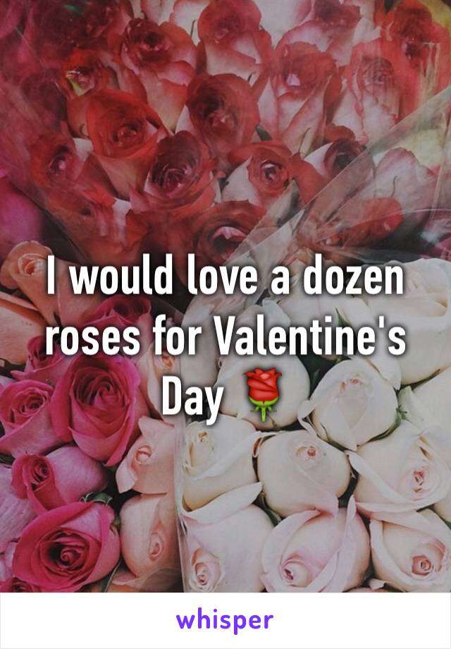I would love a dozen roses for Valentine's Day 🌹