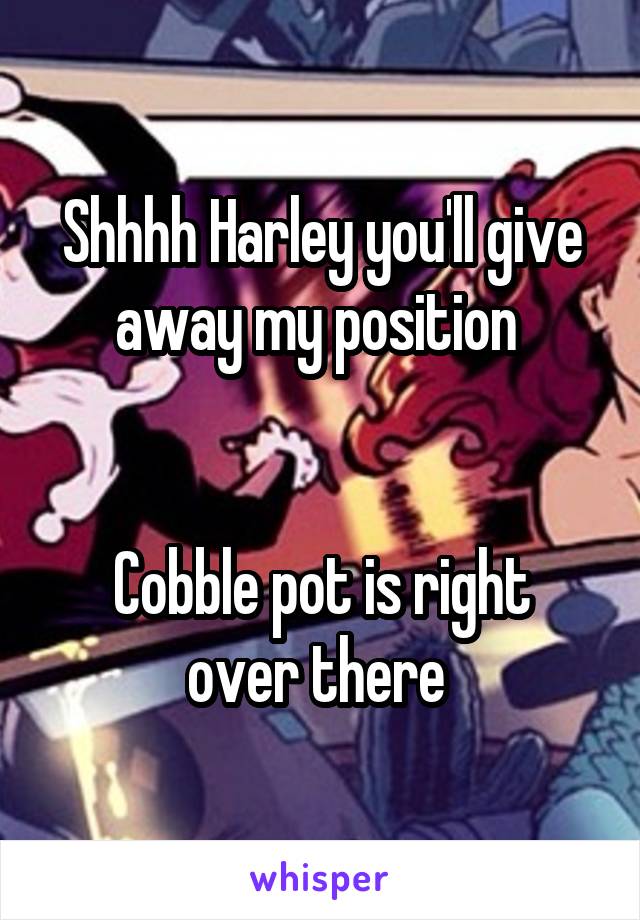 Shhhh Harley you'll give away my position 


Cobble pot is right over there 