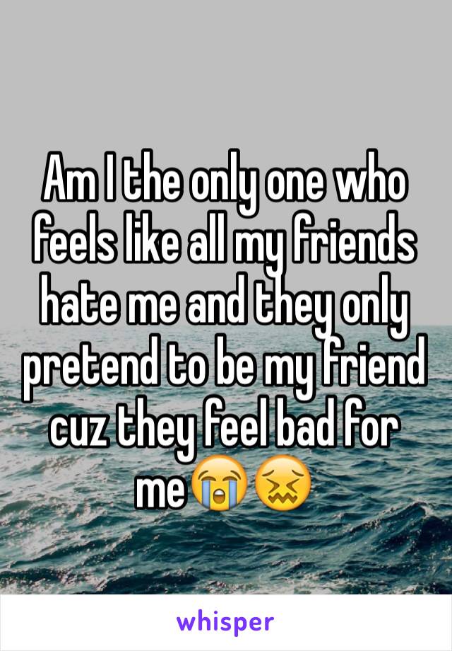 Am I the only one who feels like all my friends hate me and they only pretend to be my friend cuz they feel bad for me😭😖