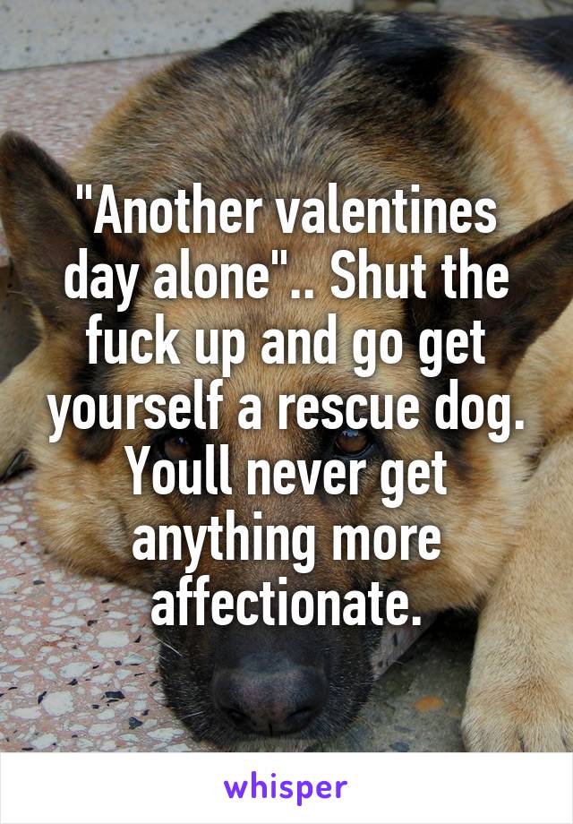 "Another valentines day alone".. Shut the fuck up and go get yourself a rescue dog. Youll never get anything more affectionate.