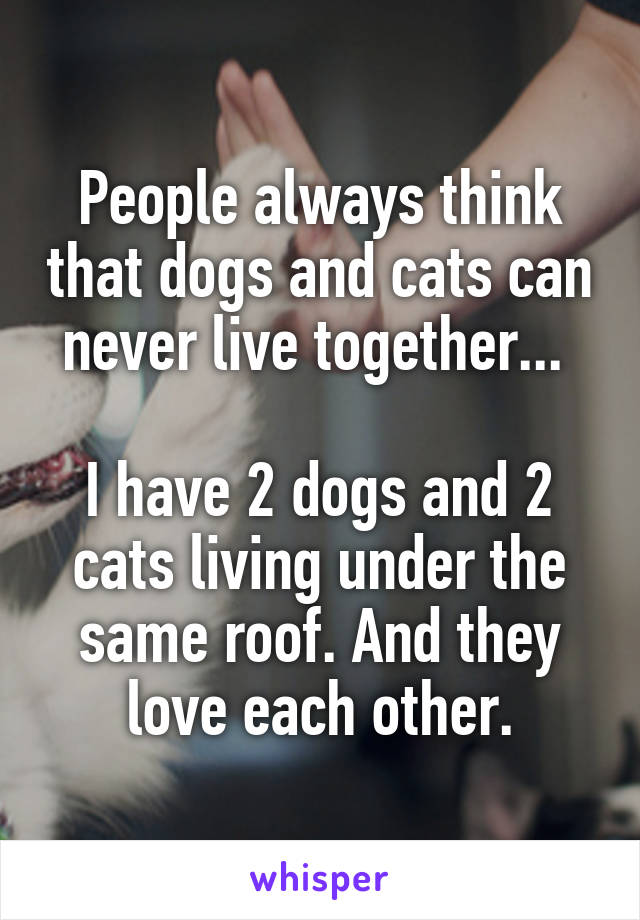 People always think that dogs and cats can never live together... 

I have 2 dogs and 2 cats living under the same roof. And they love each other.