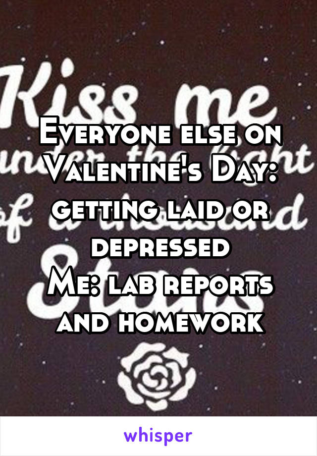 Everyone else on Valentine's Day: getting laid or depressed
Me: lab reports and homework