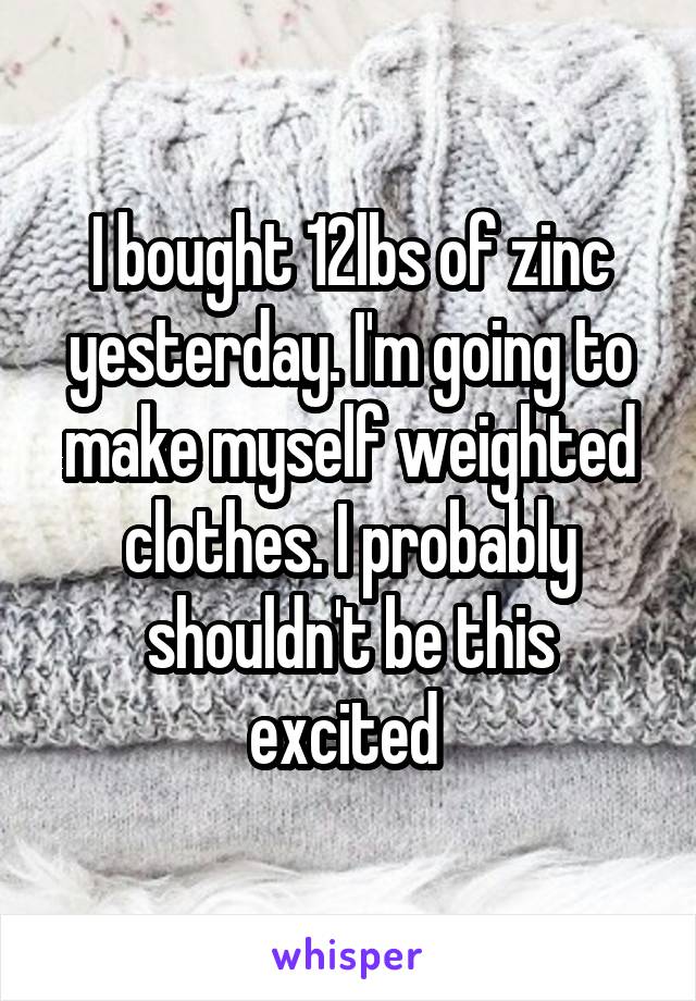 I bought 12lbs of zinc yesterday. I'm going to make myself weighted clothes. I probably shouldn't be this excited 