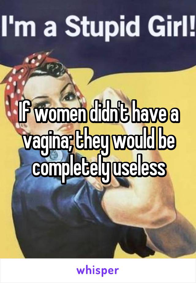 If women didn't have a vagina; they would be completely useless