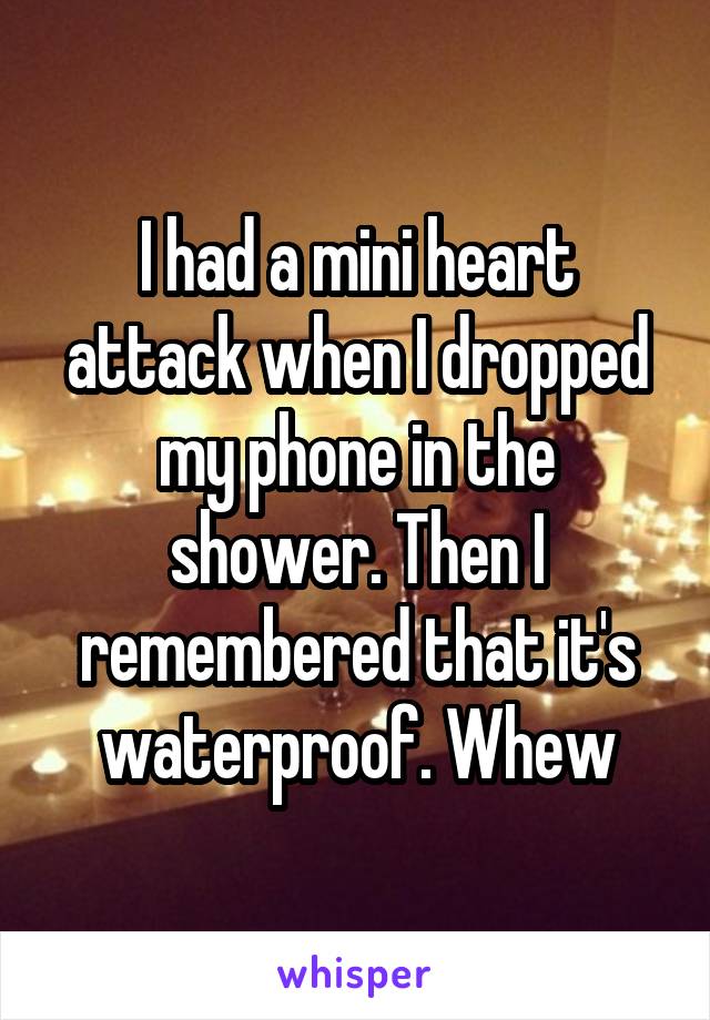 I had a mini heart attack when I dropped my phone in the shower. Then I remembered that it's waterproof. Whew