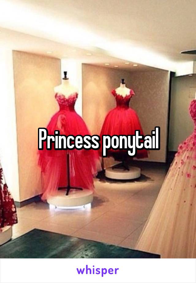 Princess ponytail