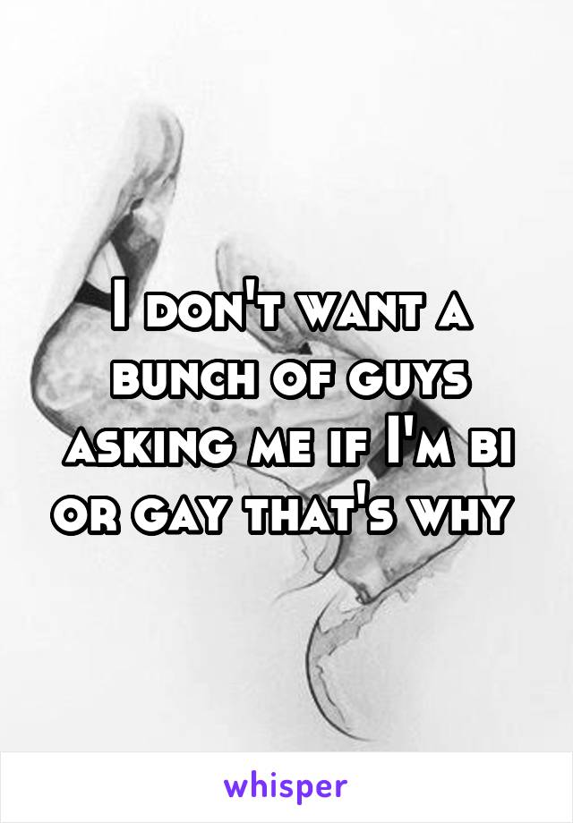 I don't want a bunch of guys asking me if I'm bi or gay that's why 