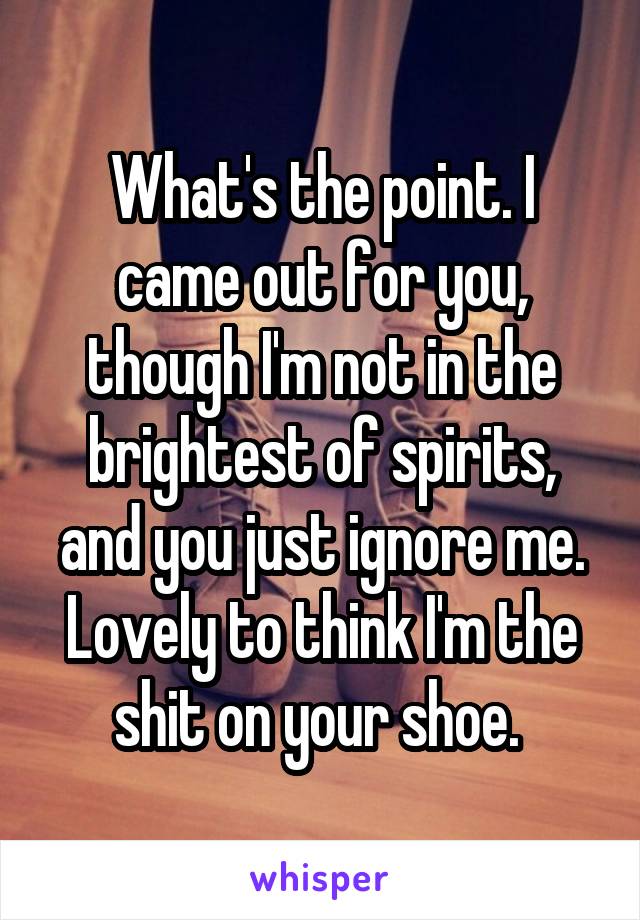 What's the point. I came out for you, though I'm not in the brightest of spirits, and you just ignore me. Lovely to think I'm the shit on your shoe. 