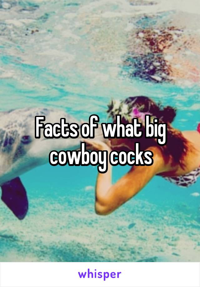Facts of what big cowboy cocks