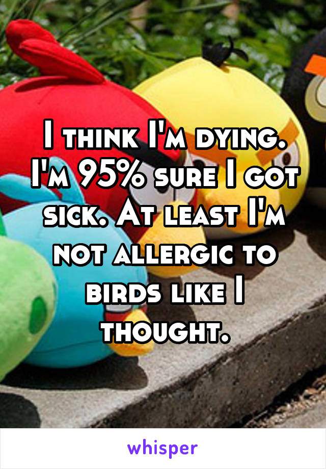 I think I'm dying. I'm 95% sure I got sick. At least I'm not allergic to birds like I thought.