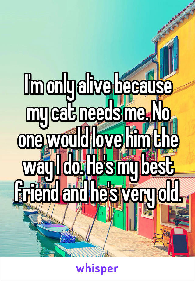 I'm only alive because my cat needs me. No one would love him the way I do. He's my best friend and he's very old.