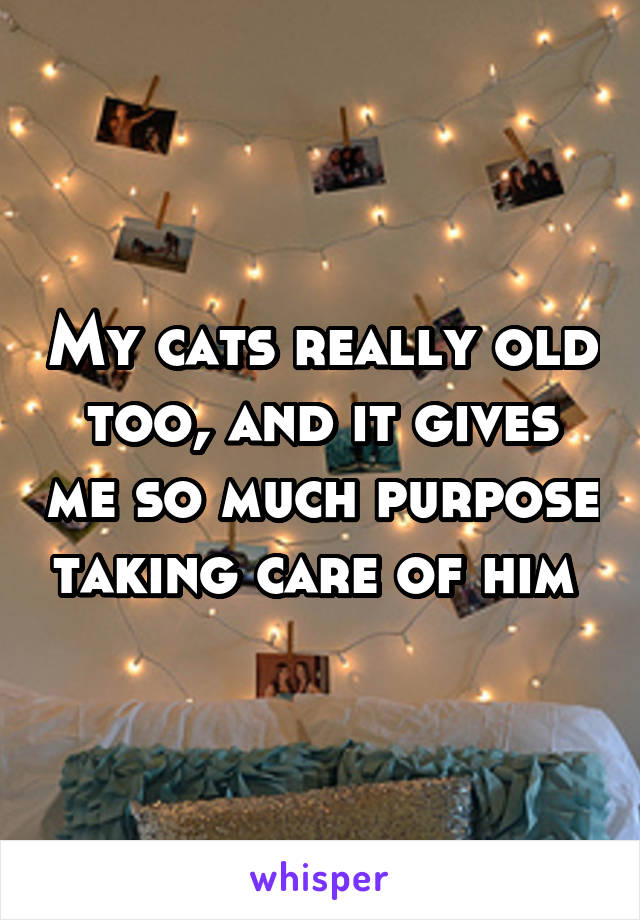 My cats really old too, and it gives me so much purpose taking care of him 