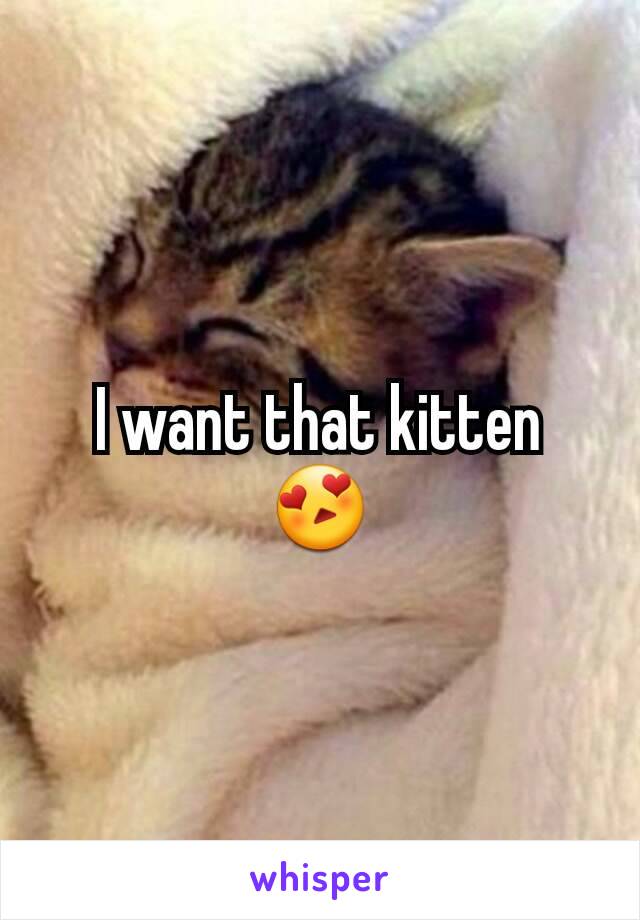 I want that kitten 😍