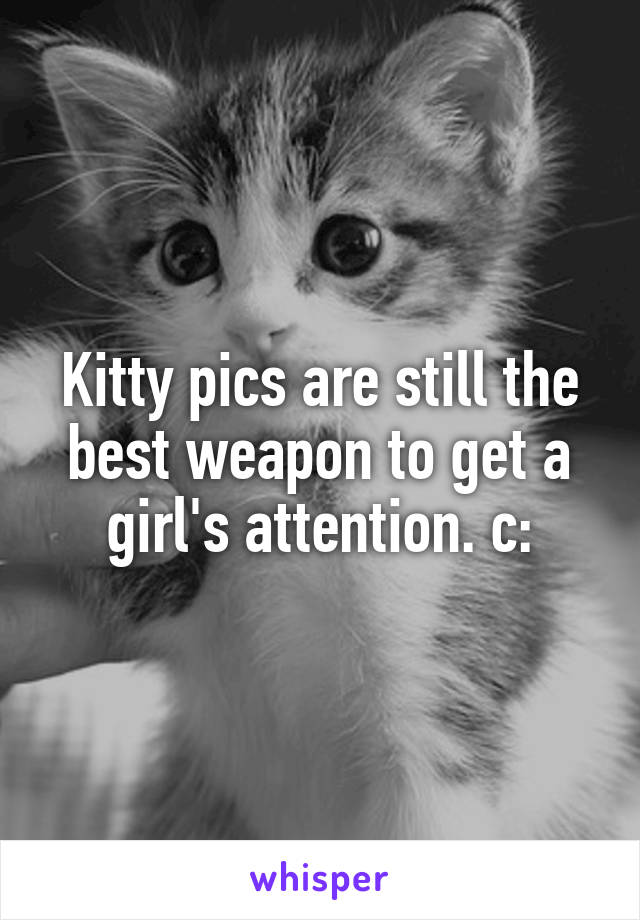 Kitty pics are still the best weapon to get a girl's attention. c: