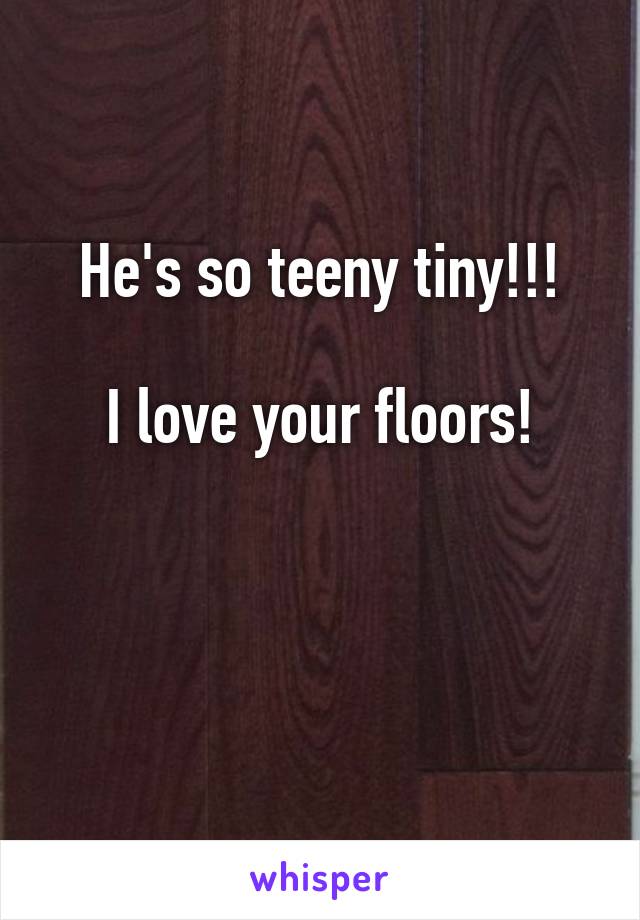 He's so teeny tiny!!!

I love your floors!


