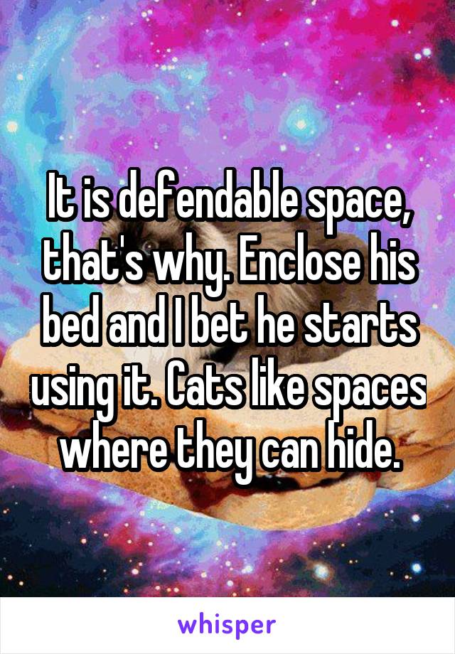 It is defendable space, that's why. Enclose his bed and I bet he starts using it. Cats like spaces where they can hide.