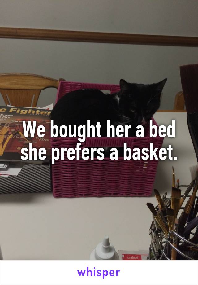 We bought her a bed she prefers a basket.