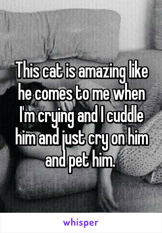 This cat is amazing like he comes to me when I'm crying and I cuddle him and just cry on him and pet him. 