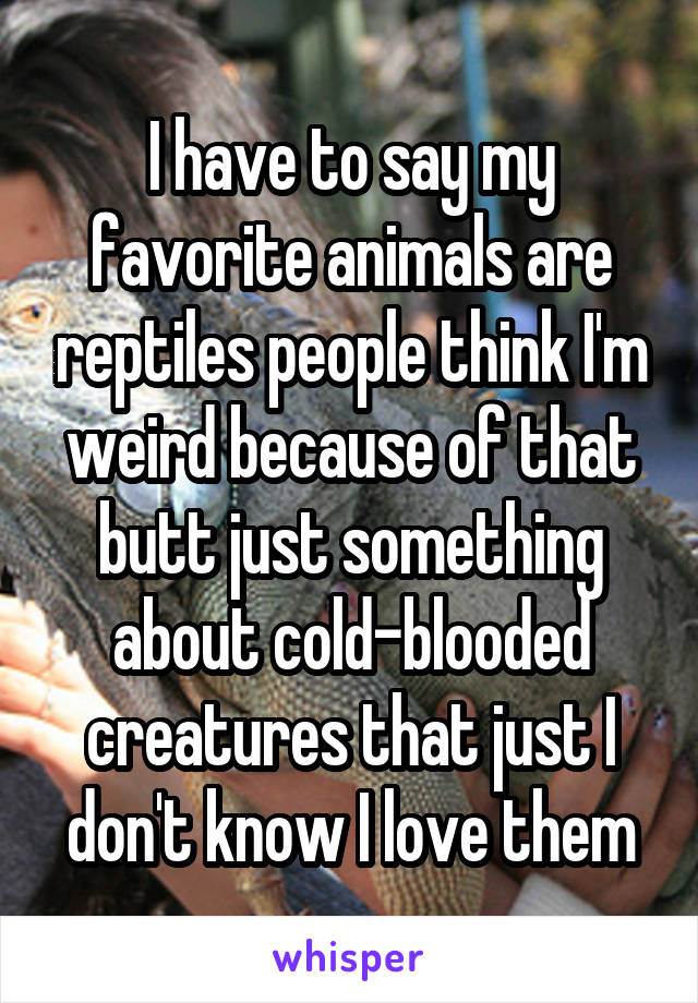 I have to say my favorite animals are reptiles people think I'm weird because of that butt just something about cold-blooded creatures that just I don't know I love them