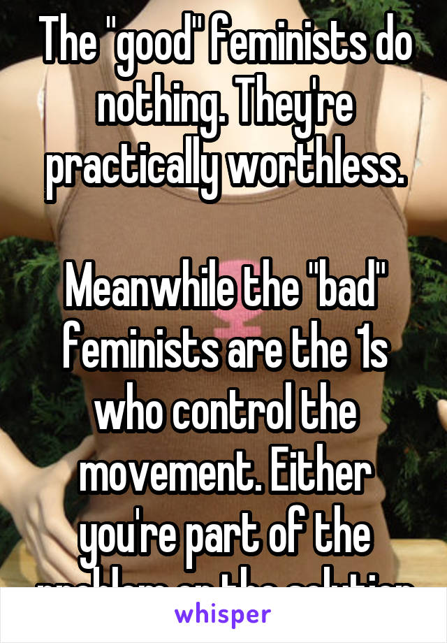 The "good" feminists do nothing. They're practically worthless.

Meanwhile the "bad" feminists are the 1s who control the movement. Either you're part of the problem or the solution