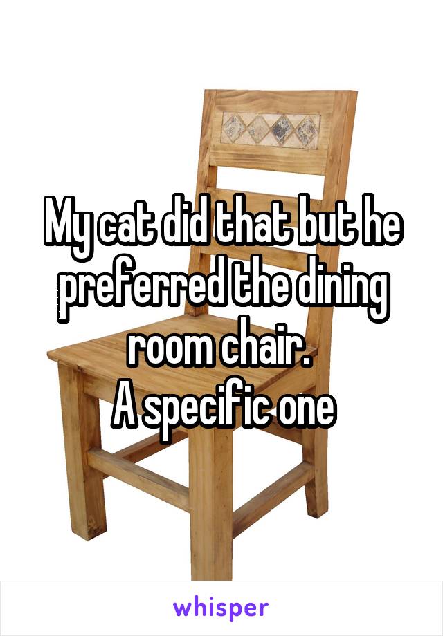 My cat did that but he preferred the dining room chair. 
A specific one