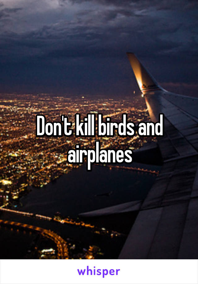 Don't kill birds and airplanes