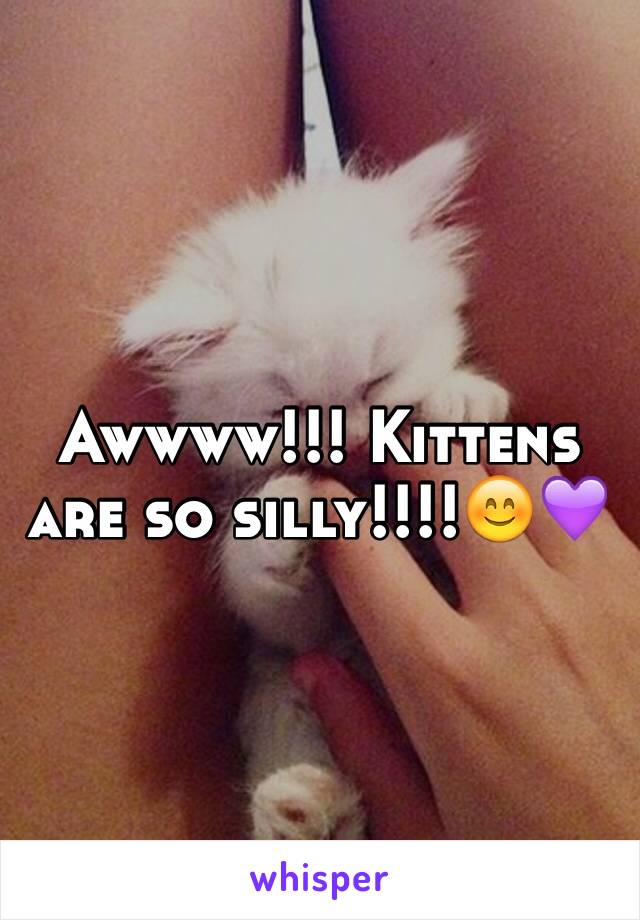 Awwww!!! Kittens are so silly!!!!😊💜