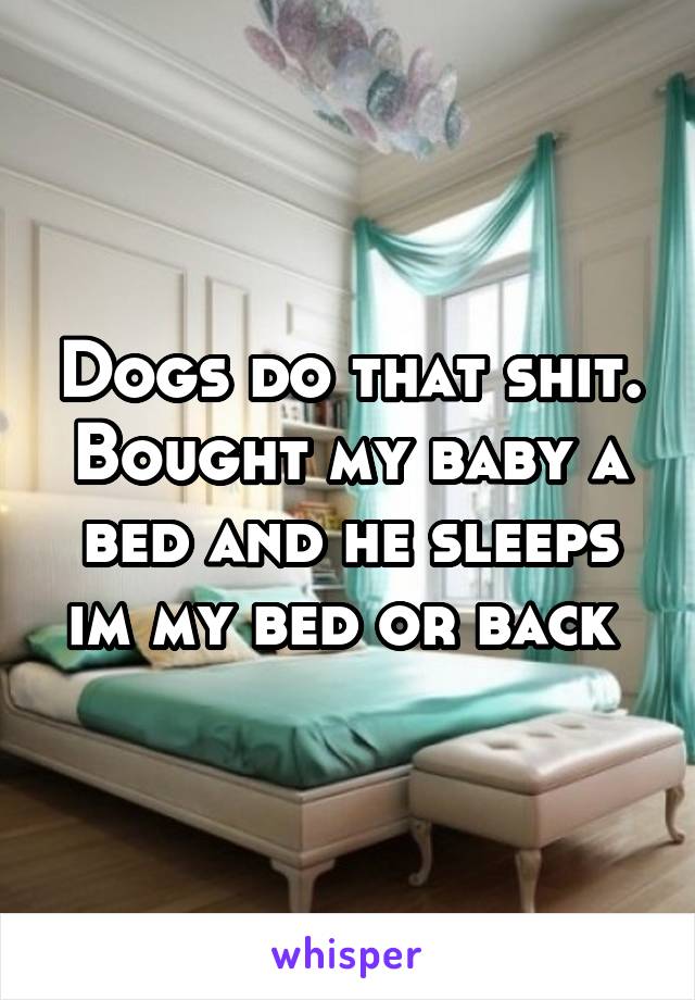 Dogs do that shit.
Bought my baby a bed and he sleeps im my bed or back 