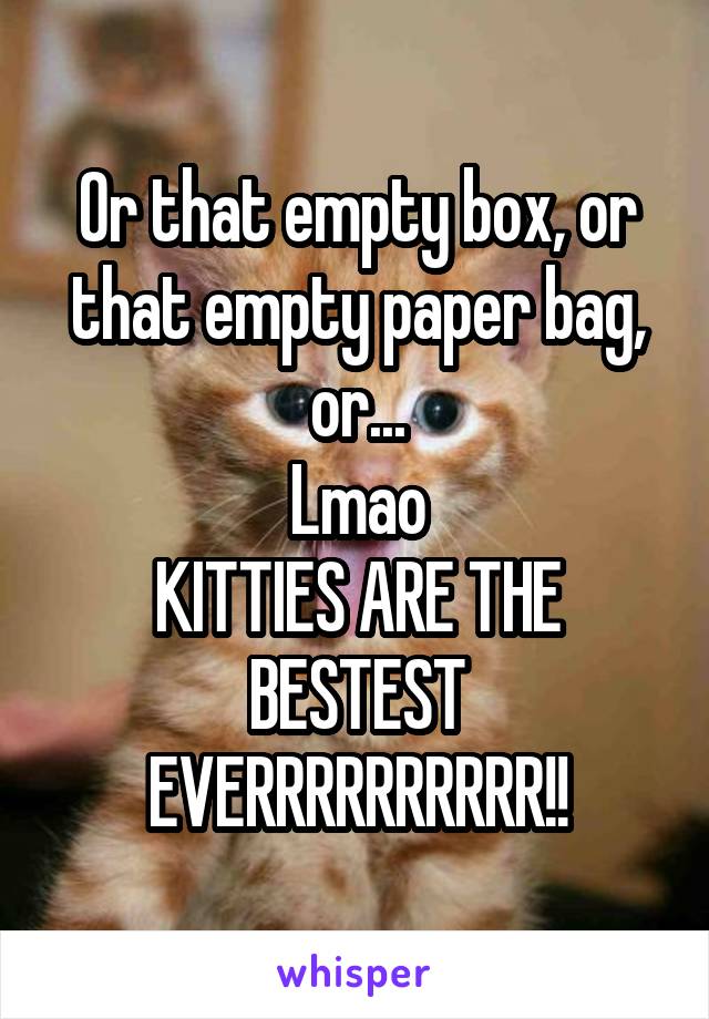 Or that empty box, or that empty paper bag, or...
Lmao
KITTIES ARE THE BESTEST
EVERRRRRRRRRR!!