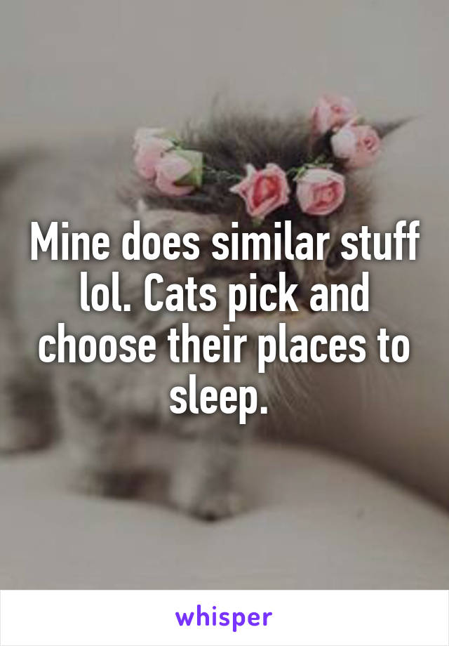 Mine does similar stuff lol. Cats pick and choose their places to sleep. 