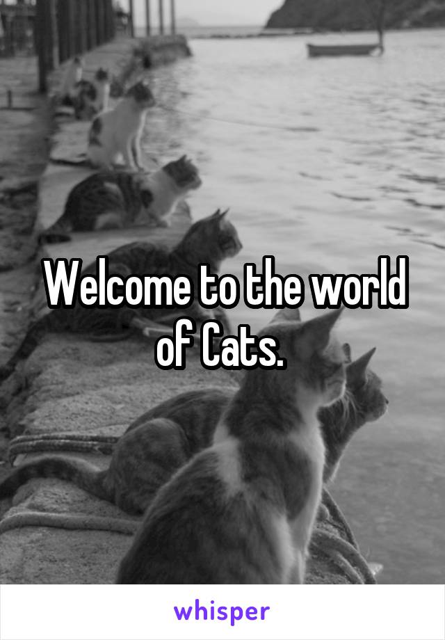 Welcome to the world of Cats. 