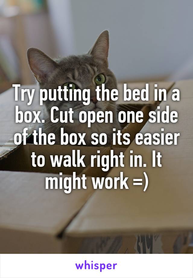 Try putting the bed in a box. Cut open one side of the box so its easier to walk right in. It might work =)