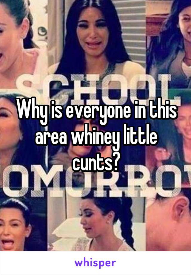 Why is everyone in this area whiney little cunts?