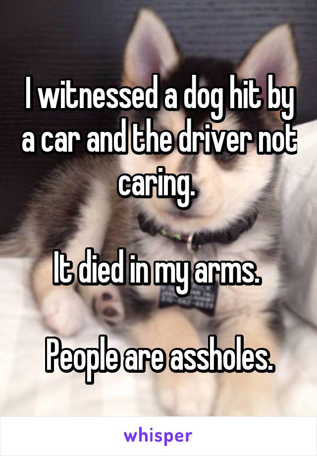 I witnessed a dog hit by a car and the driver not caring. 

It died in my arms. 

People are assholes.