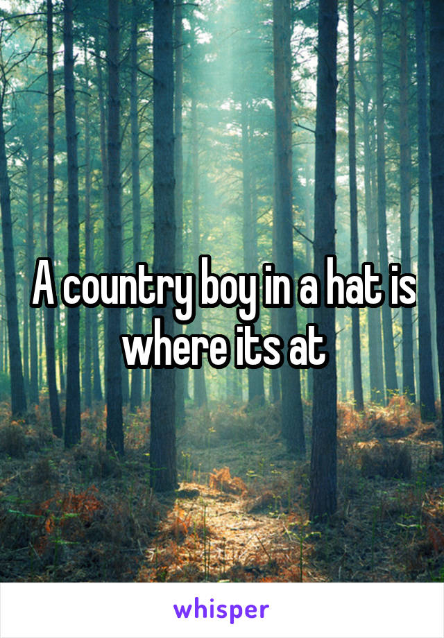 A country boy in a hat is where its at