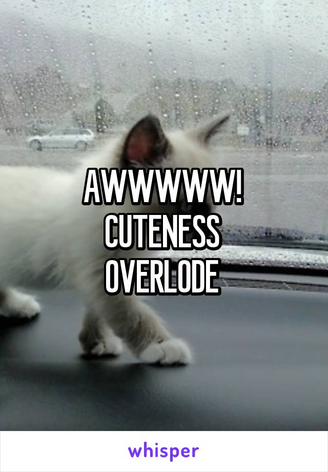 AWWWWW! 
CUTENESS 
OVERLODE 