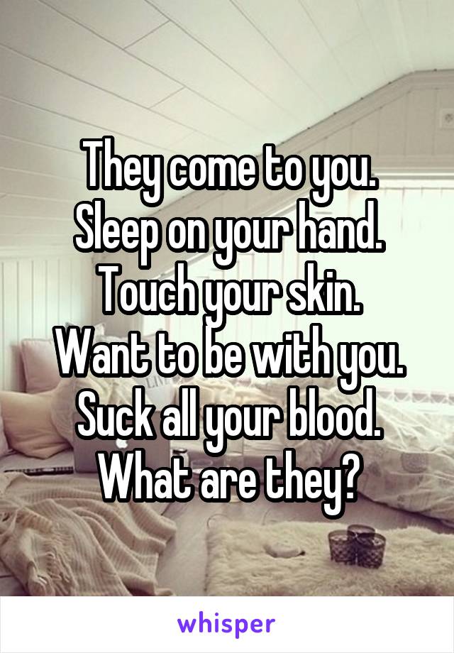 They come to you.
Sleep on your hand.
Touch your skin.
Want to be with you.
Suck all your blood.
What are they?