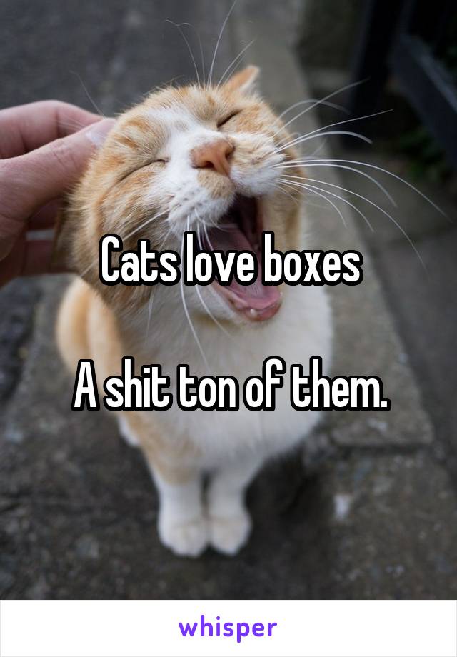 Cats love boxes

A shit ton of them.