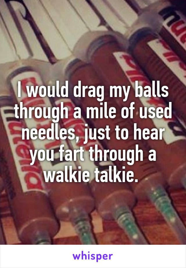 I would drag my balls through a mile of used needles, just to hear you fart through a walkie talkie. 