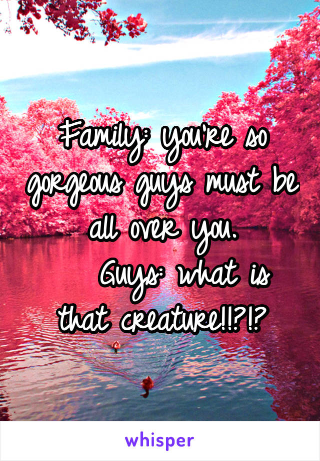 Family: you're so gorgeous guys must be all over you.
   Guys: what is that creature!!?!?
