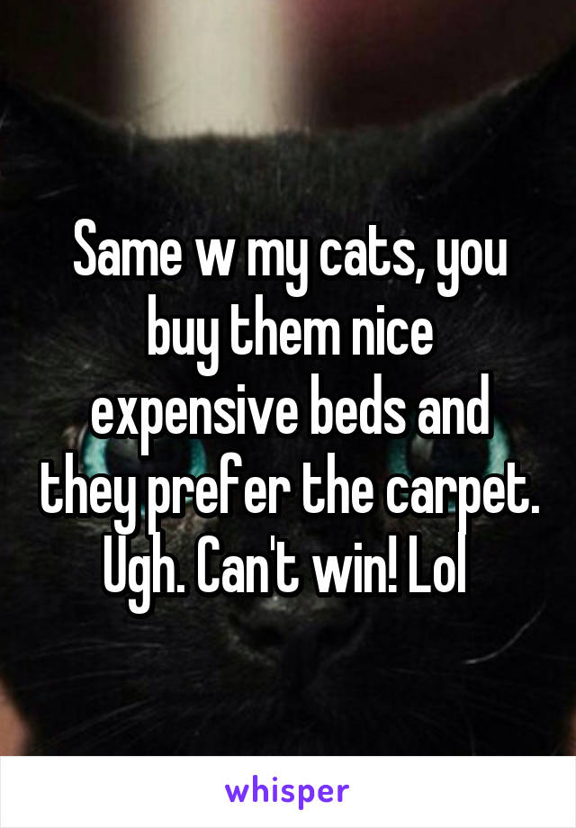 Same w my cats, you buy them nice expensive beds and they prefer the carpet. Ugh. Can't win! Lol 