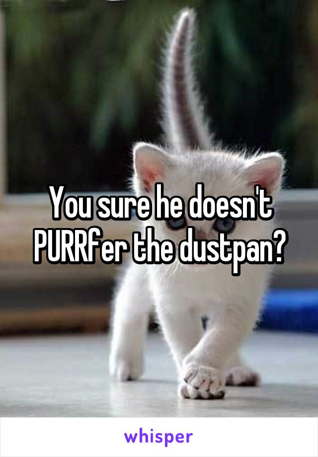 You sure he doesn't PURRfer the dustpan?