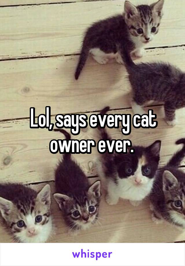 Lol, says every cat owner ever. 