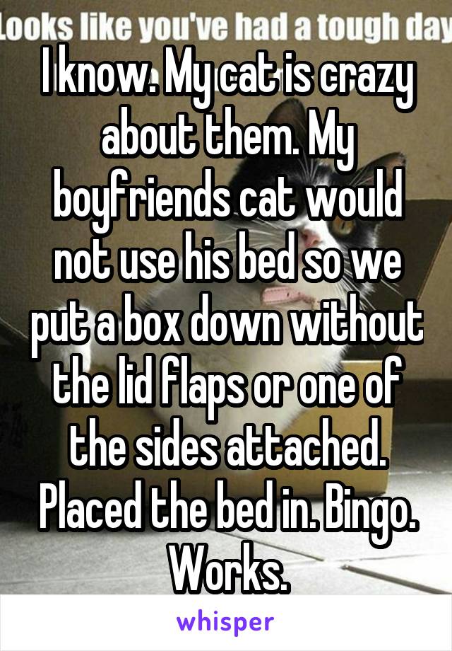 I know. My cat is crazy about them. My boyfriends cat would not use his bed so we put a box down without the lid flaps or one of the sides attached. Placed the bed in. Bingo. Works.