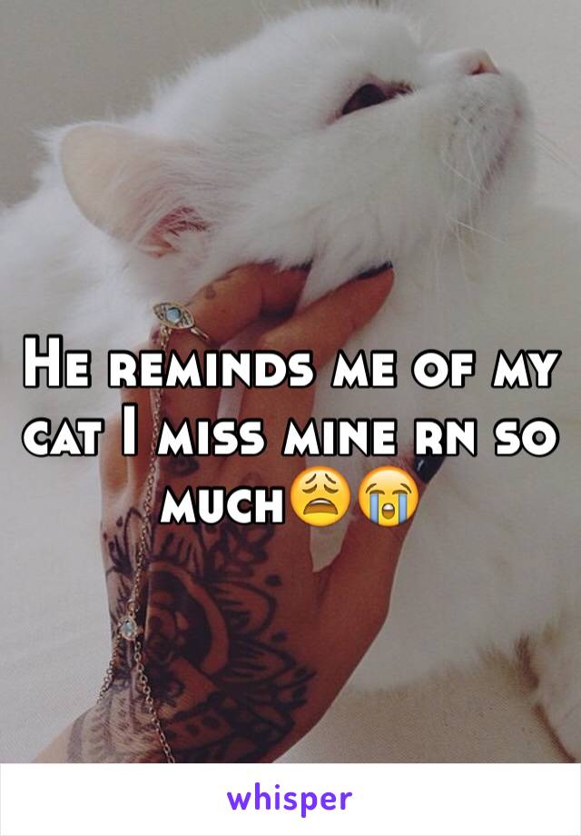 He reminds me of my cat I miss mine rn so much😩😭