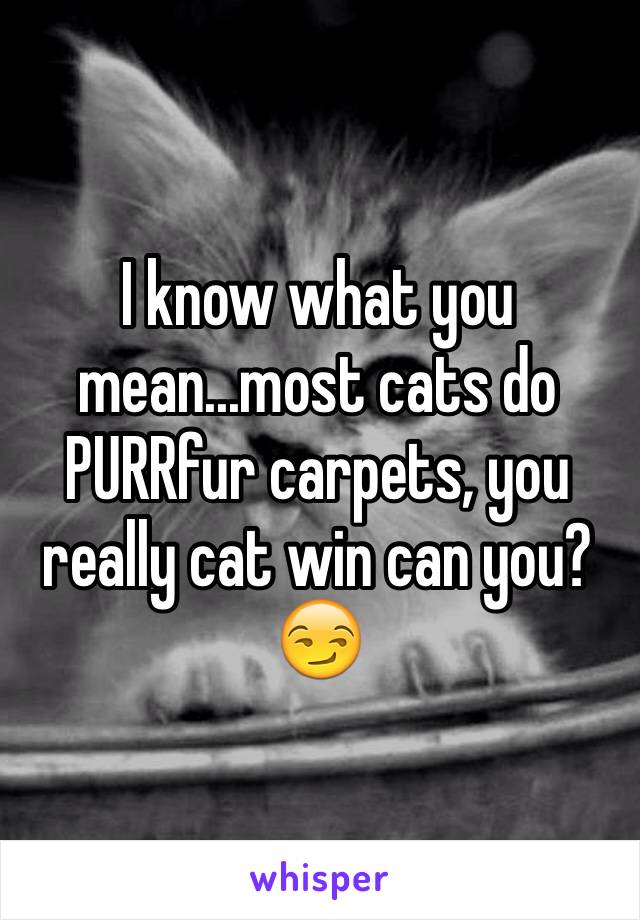 I know what you mean...most cats do PURRfur carpets, you really cat win can you? 😏