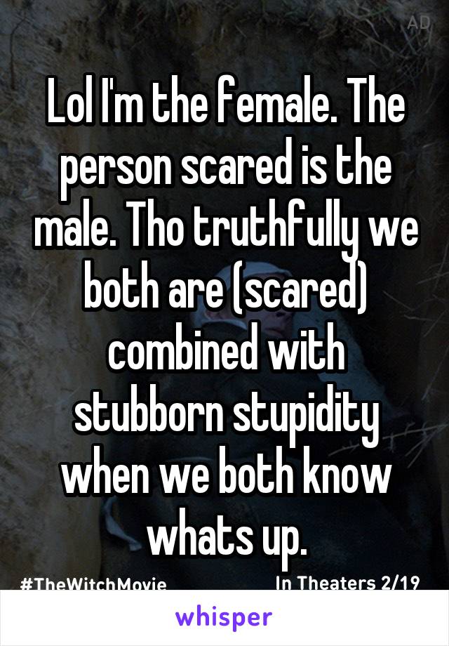 Lol I'm the female. The person scared is the male. Tho truthfully we both are (scared) combined with stubborn stupidity when we both know whats up.
